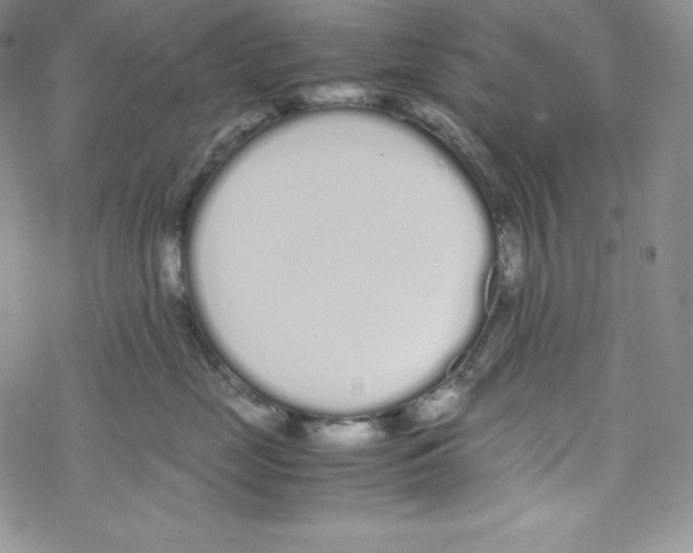 X0000069390669200606091718