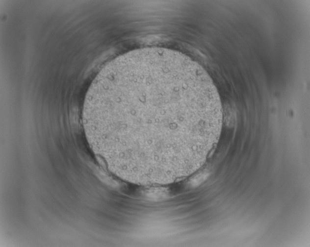 X0000069390670200606091718