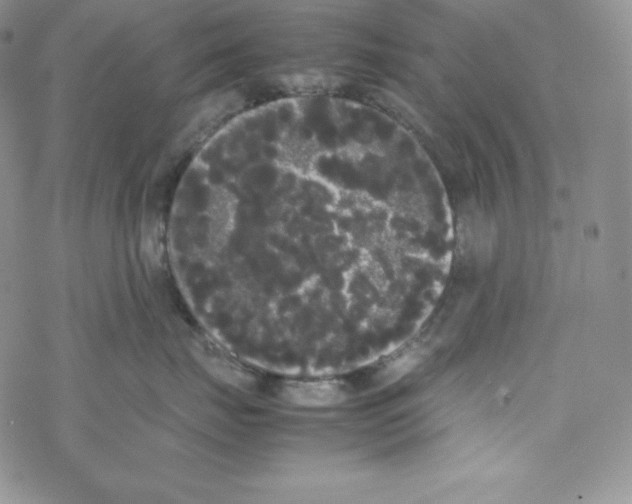 X0000069390671200606091718