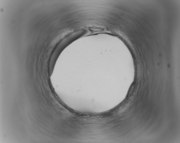 X0000069390673200606091717