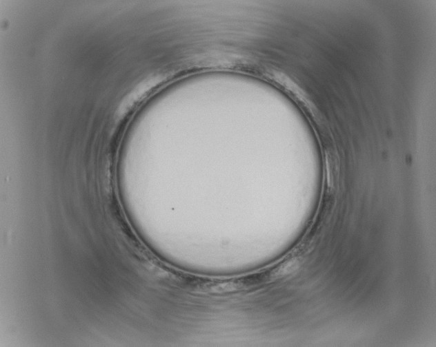 X0000069390675200606091717