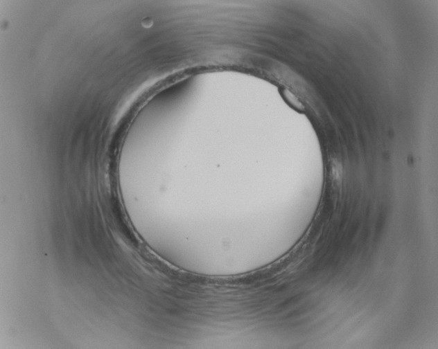 X0000069390676200606091717