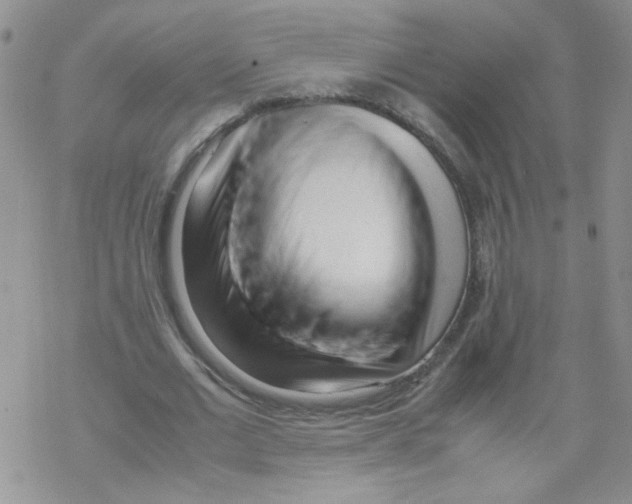 X0000069390677200606091717