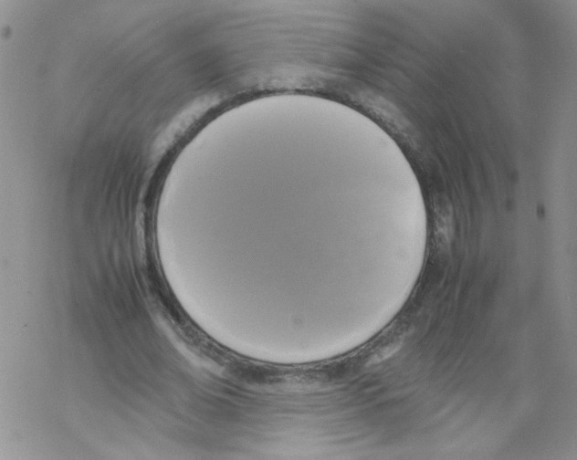 X0000069390678200606091717