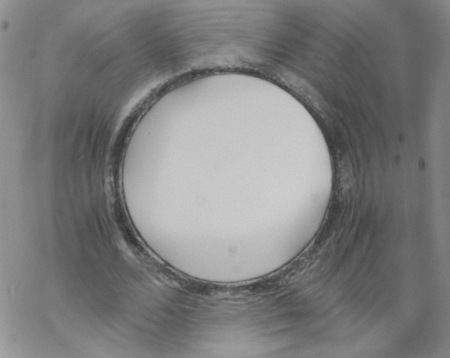 X0000069390680200606091717