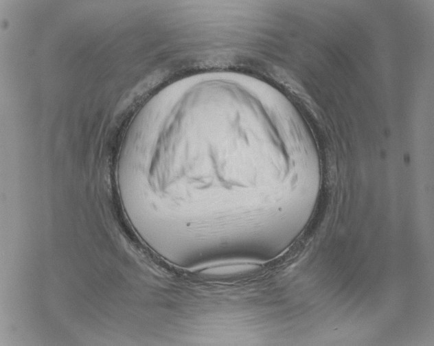 X0000069390681200606091717