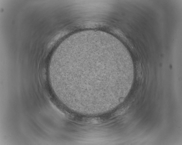 X0000069390683200606091717