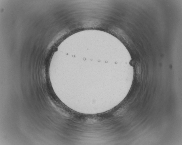 X0000069390684200606091717