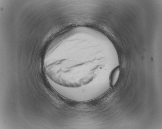 X0000069390685200606091717