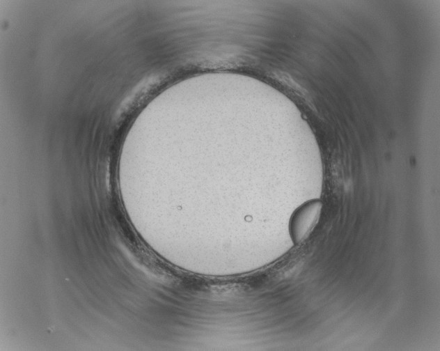 X0000069390686200606091717