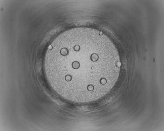 X0000069390687200606091717