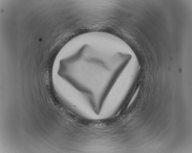 X0000069390689200606091717