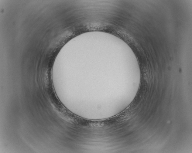 X0000069390690200606091717