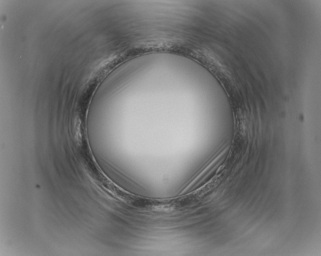 X0000069390692200606091717