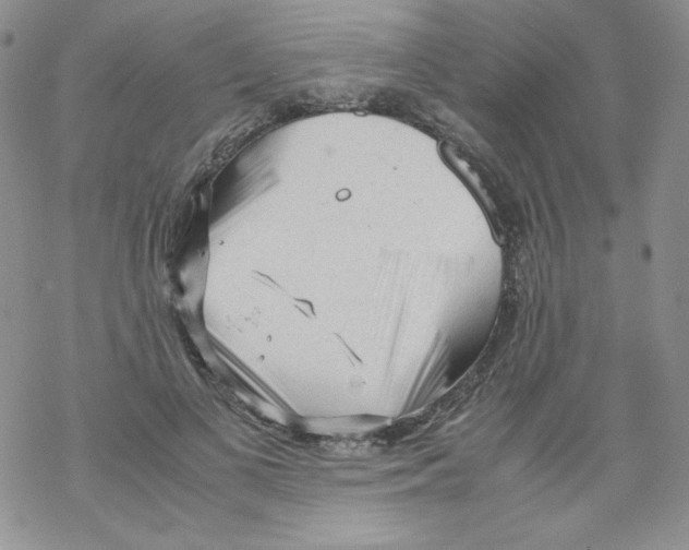 X0000069390693200606091717