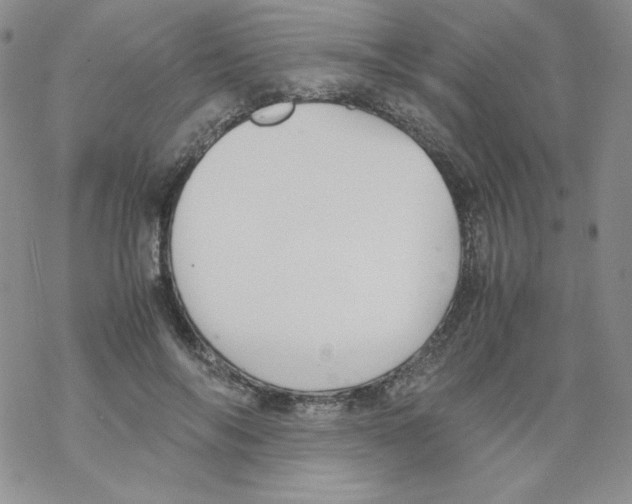 X0000069390694200606091717