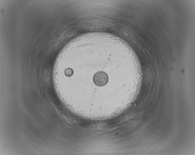 X0000069390695200606091717