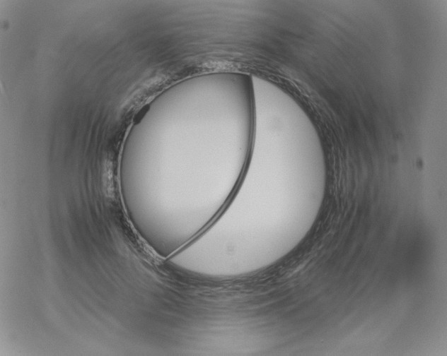 X0000069390696200606091717