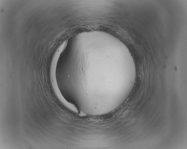 X0000069390697200606091717