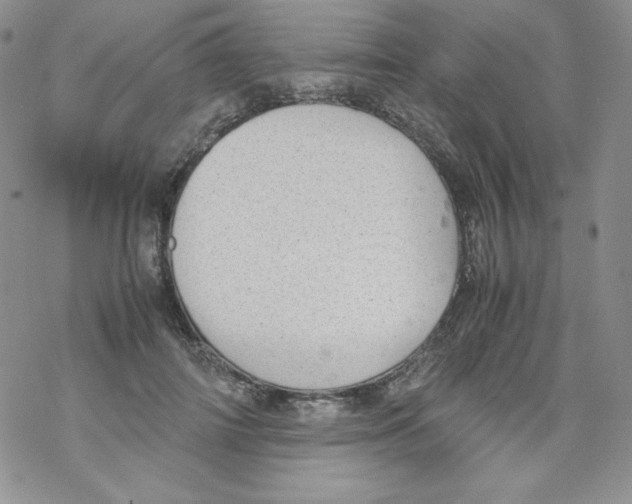 X0000069390698200606091717