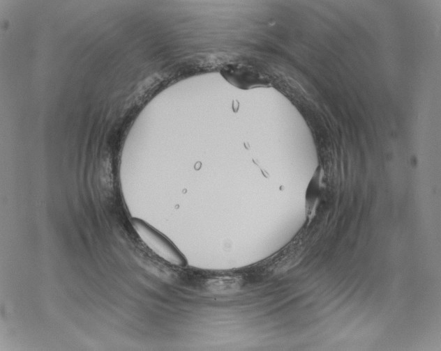 X0000069390700200606091717