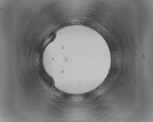 X0000069390702200606091717