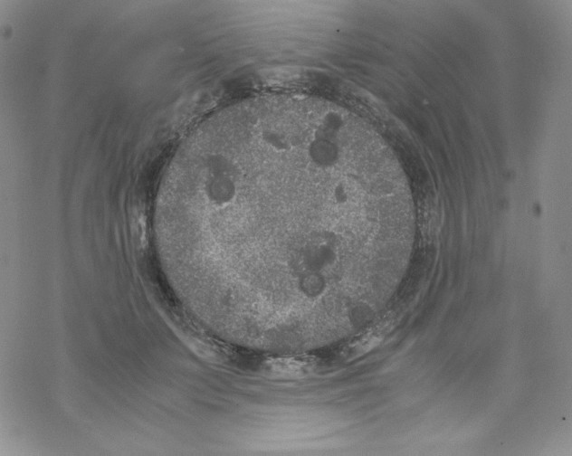 X0000069390703200606091717