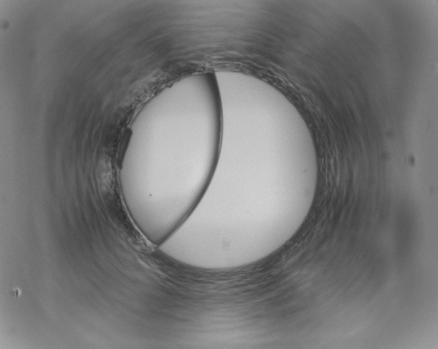 X0000069390704200606091717