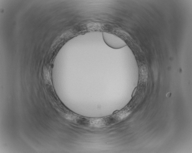 X0000069390705200606091717