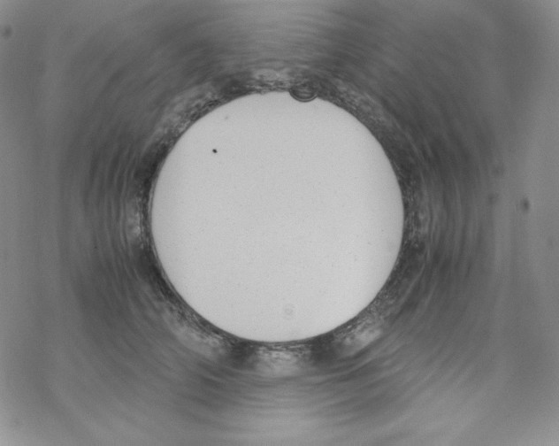 X0000069390706200606091717