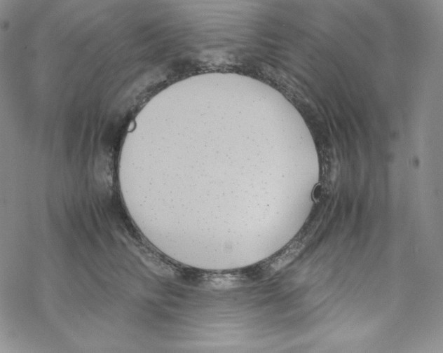 X0000069390710200606091717