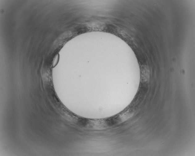 X0000069390713200606091716