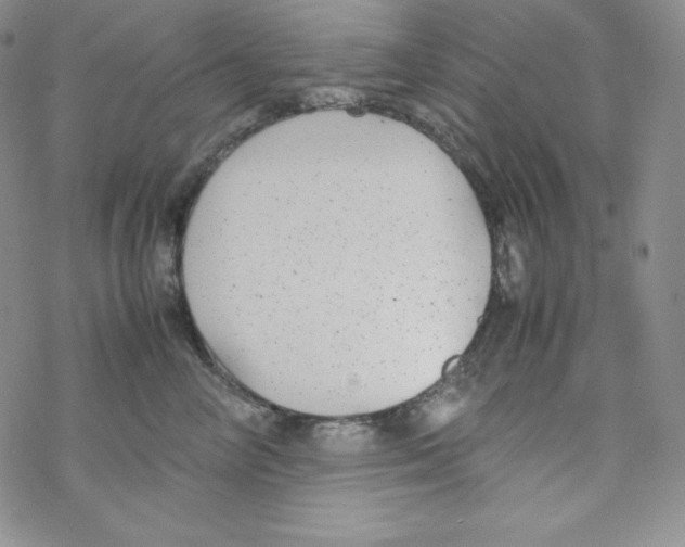 X0000069390714200606091716