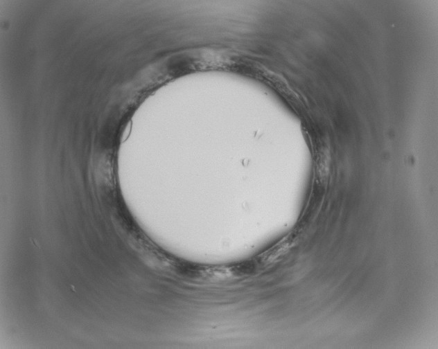 X0000069390715200606091716