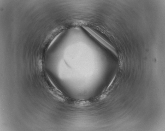 X0000069390716200606091716