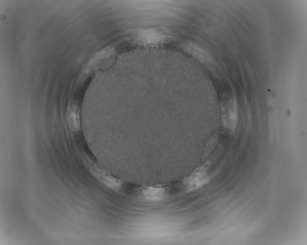 X0000069390718200606091716