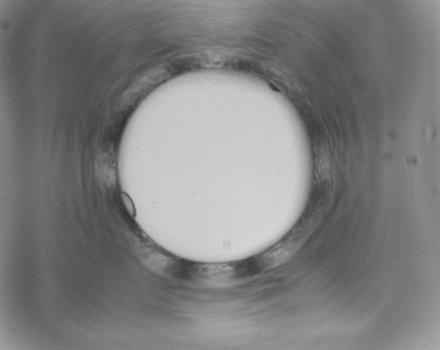 X0000069390719200606091716