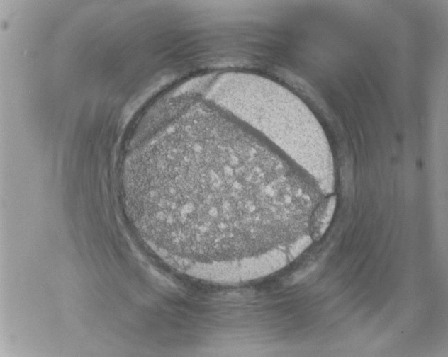 X0000069390721200606091716