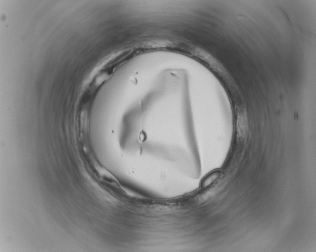 X0000069390722200606091716