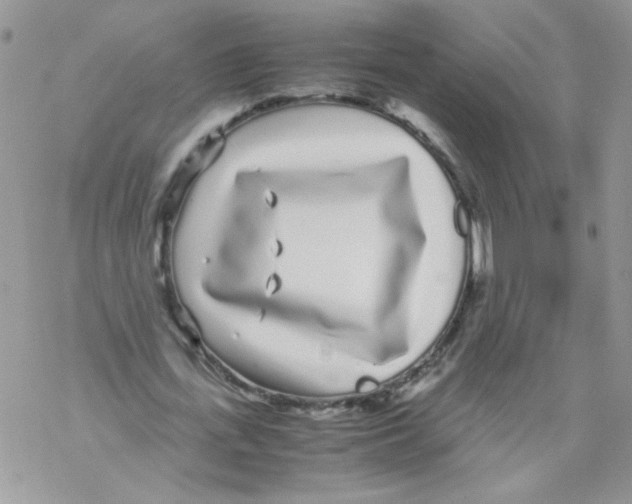 X0000069390723200606091716