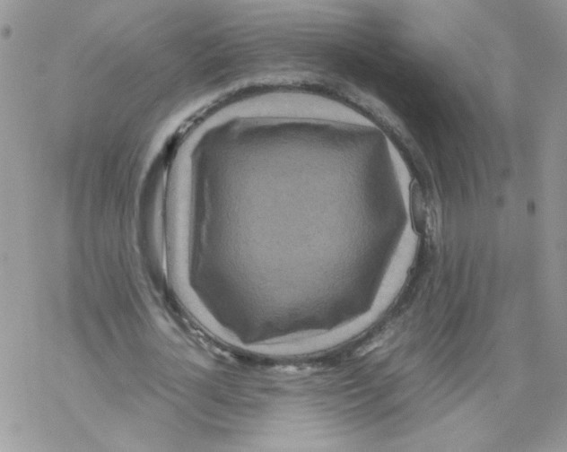 X0000069390724200606091716