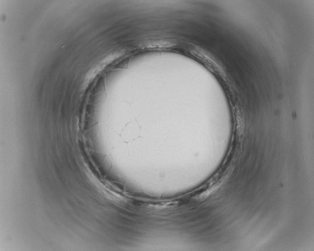 X0000069390725200606091716