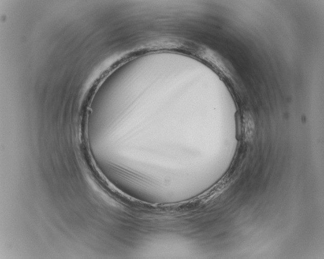 X0000069390726200606091716