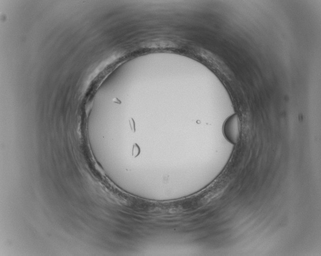 X0000069390727200606091716