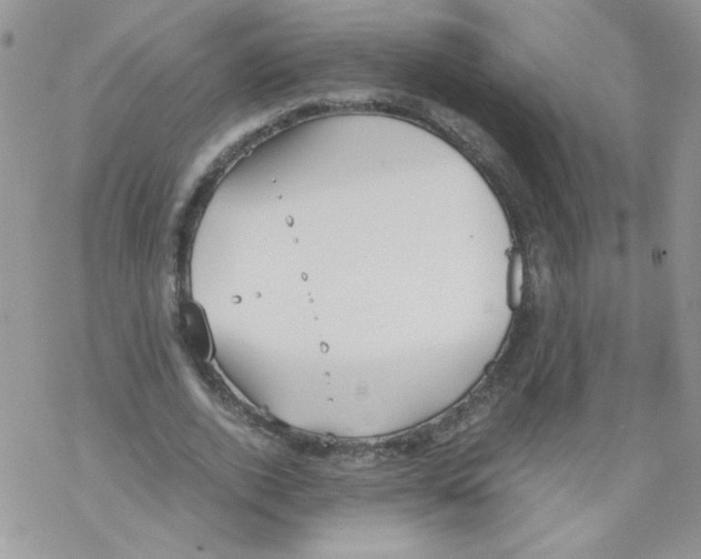 X0000069390728200606091716