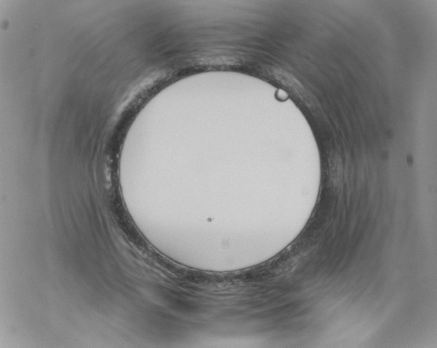 X0000069390731200606091716