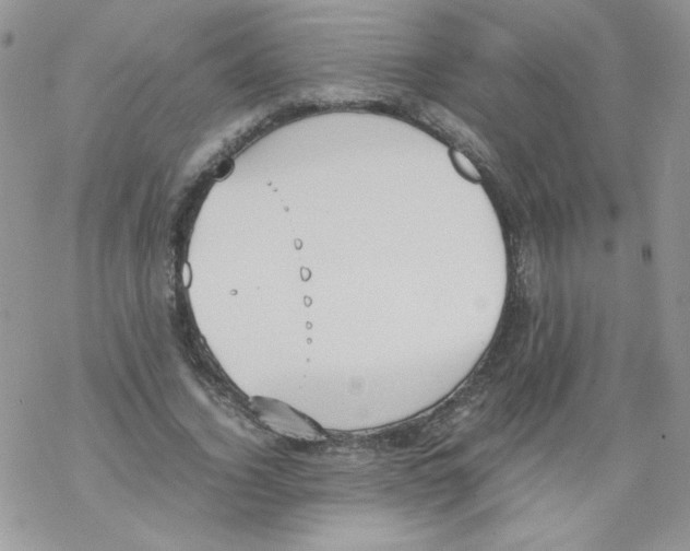 X0000069390732200606091716