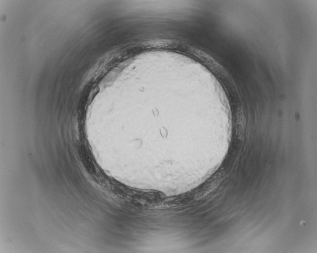 X0000069390734200606091716