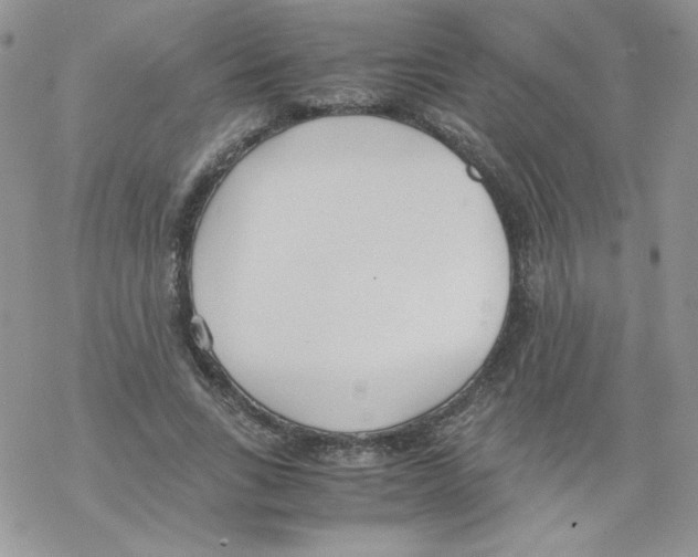 X0000069390735200606091716