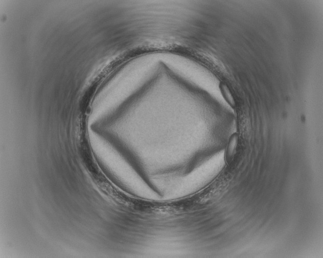 X0000069390736200606091716